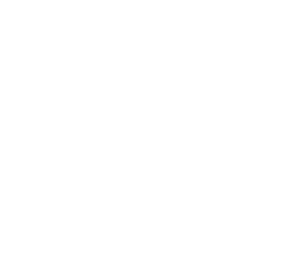 Camera Trap Graphic